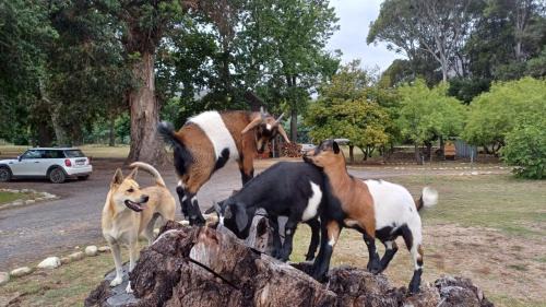 Cape Winelands House | La Ferme Guest Farm - Hot Tubs