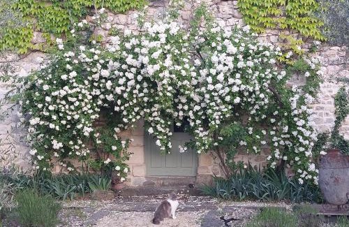 Grospierres Bed & Breakfast | La Flor Azul