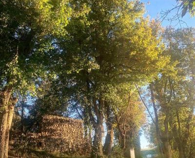 Bievre Isere Bed & Breakfast | La FortBelle