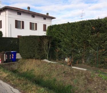 Torrile Bed & Breakfast | La Fossetta B&B