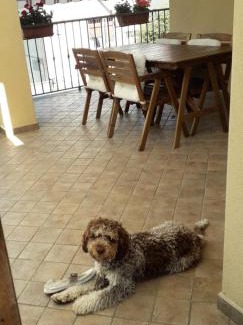 Sferracavallo Apartment | La Graziosa Dépendance