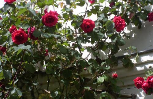 Tours Bed & Breakfast | La Héraudière Bed & Breakfast