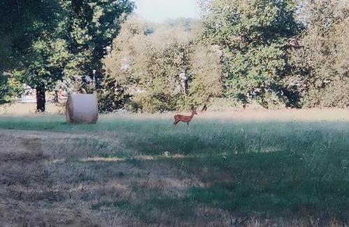 Mazeres Bed & Breakfast | La Hulotte de Labarthe