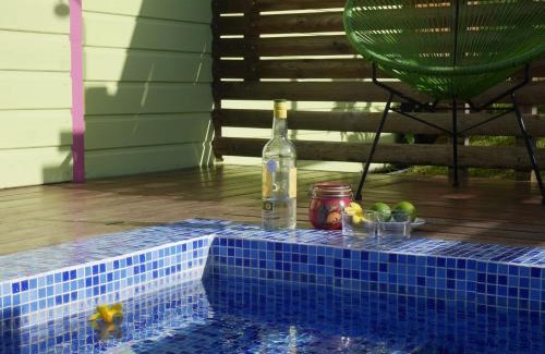 Duzer House | La Joupa case Anthurium