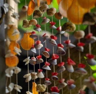 Koh Tao Other | La Lune's Koh Tao