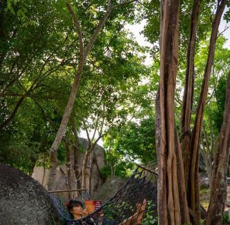 Koh Tao Other | La Lune's Koh Tao