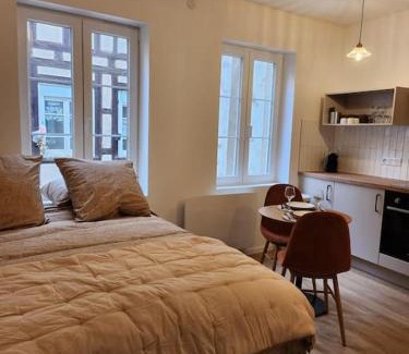 Petite-France Apartment | La météorite