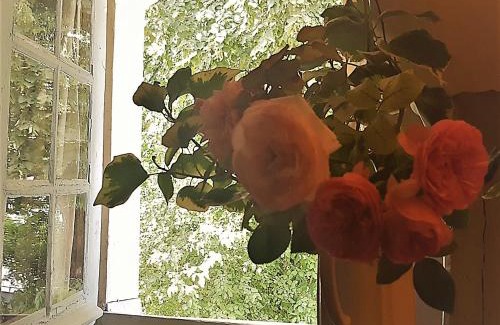 Prunay-Cassereau Bed & Breakfast | La Maison Céladon