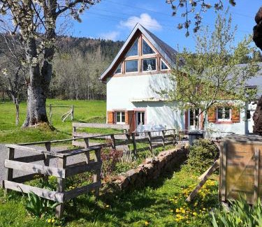 Labaroche House | la maison dans les prés