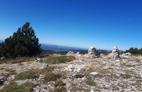 Forcalquier Bed & Breakfast | La maison de Lalouette