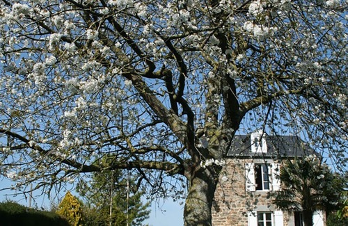 Le Val-Saint-Pere Cottage | La Maison des Grèves, charming cottage