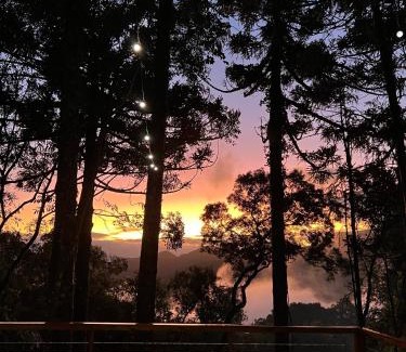 Sao Francisco de Paula Ski Chalet | La negra - cabana entre araucárias