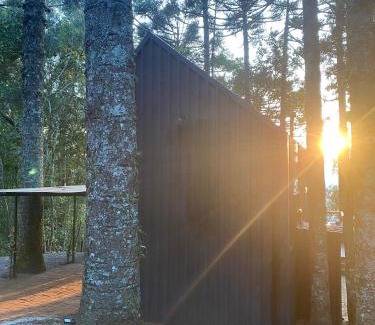 Sao Francisco de Paula Ski Chalet | La negra - cabana entre araucárias