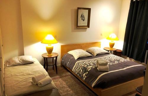 Rives de Meurthe Apartment | La Pépinière Victoria - Canal & Pépinière -50m2