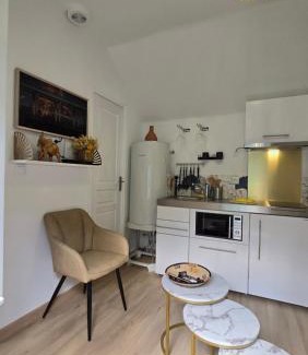 Quartier Vilmorin Apartment | La Perle Rare
