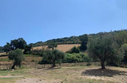 Campofilone Apartment | La Perpetua