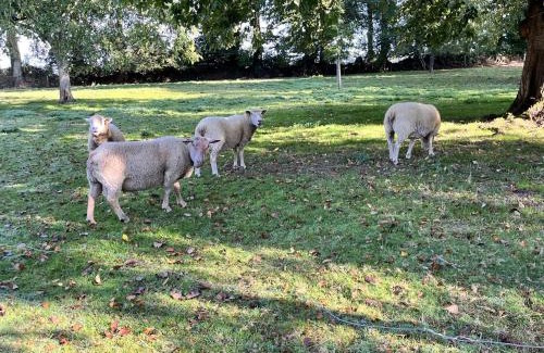 Thil-Manneville Apartment | La Petite Ferme d Hyberville