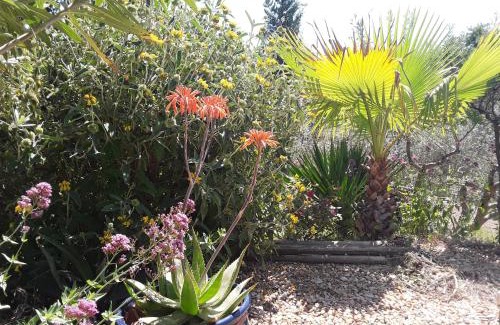 Vaugines House | la petite maison