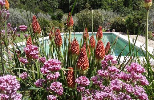 Vaugines House | la petite maison