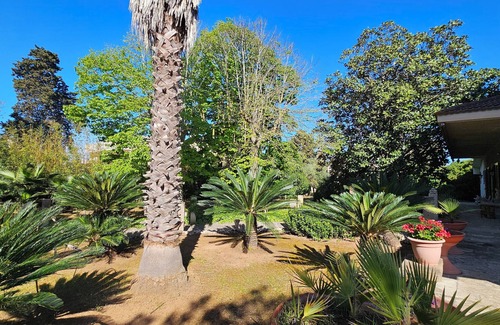 Lecce Villa | La Pineta