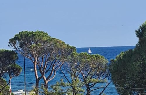 Les Issambres House | La Rose des Sables suite 5 étoiles