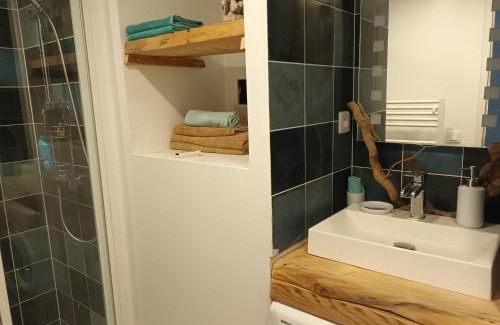 Puget-Ville Apartment | La Salamandre,Charmant T2 Calme et nature à Puget-Ville