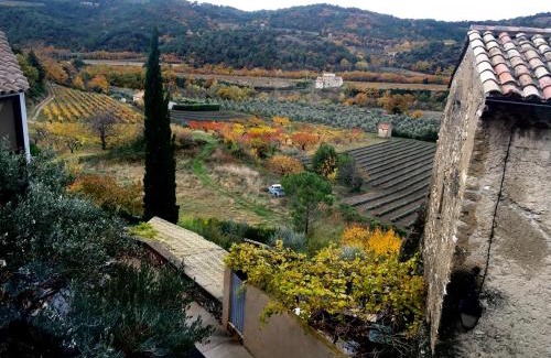 Venterol House | La salamandre