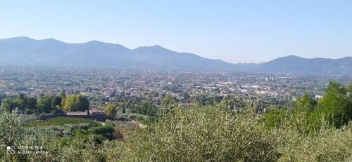 Nozanno House | la stanza del sole