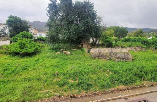 El Bosque Apartment | La Terracita del Bosque