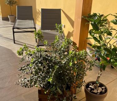 Bagheria Apartment | La Terrazza di Nela