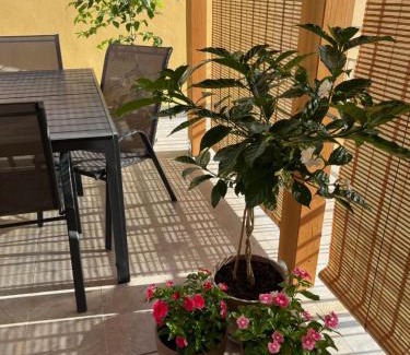 Bagheria Apartment | La Terrazza di Nela