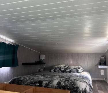 Villefranche-de-Lonchat Other | La tiny house Luna