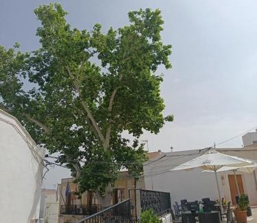 Lucainena de las Torres House | La Troje Pensión
