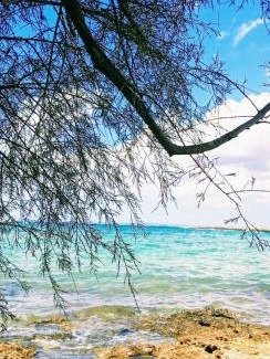 Lido Conchiglie Apartment | La veranda dei remi azzurri