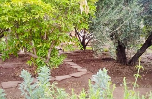 District of Sidi Youssef Ben Ali Villa | La Villa Safran