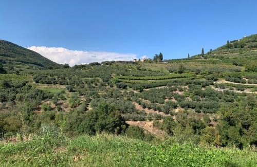 Cazzano Tramigna Apartment | La Volpe e l'Iris by Holiday World