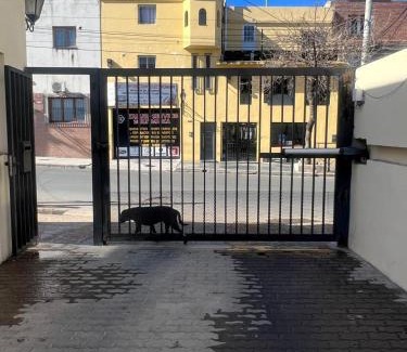 Salta Apartment | La Zuvi