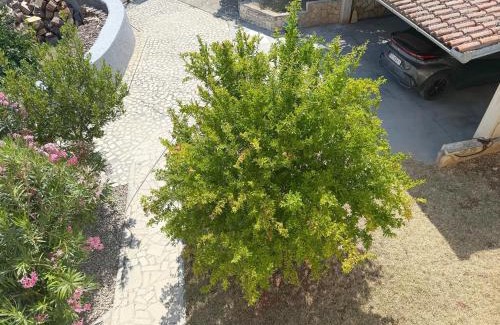 Liznjan Apartment | LacoDeLama mini resort