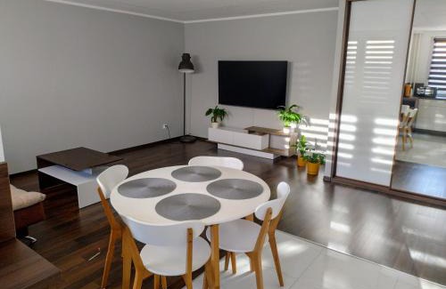 Bedzin Apartment | Lagan Apartament