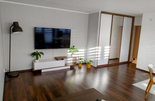 Bedzin Apartment | Lagan Apartament