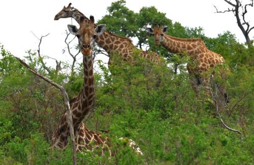 Emalahleni Apartment | LAKE-HOUSE CABIN