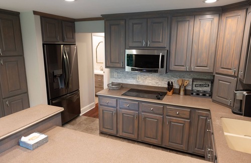 New Tazewell House | Lakefront Cedar Cove Cottage on Norris Lake