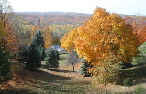 Honor Cottage | Lakefront Cottage Near Lake MI & Sleeping Bear Dunes National Park