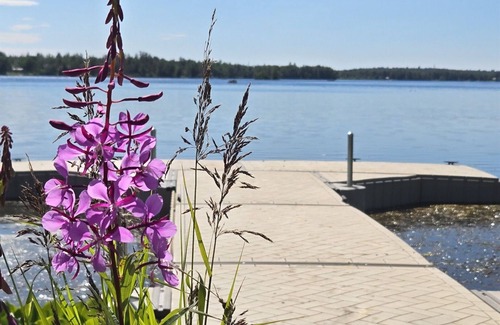 Wasilla Cottage | Lakefront Cottage with Sauna - #7 Dolly Varden
