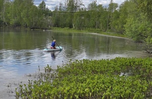 Wasilla Cottage | Lakefront Cottage with Sauna - #7 Dolly Varden