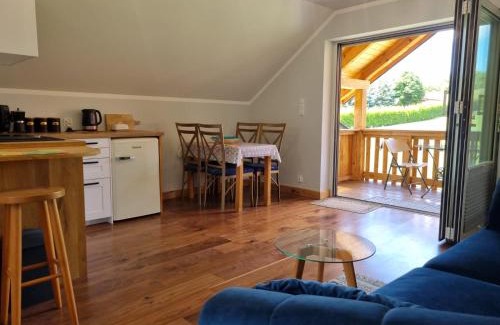 Staszow Apartment | Laki house
