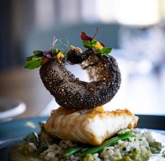 Municipality of Hellendoorn Hotel | Landgoed De Uitkijk Hellendoorn