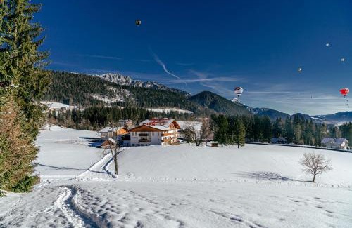 Ramsau am Dachstein House | Landhaus Blaubeerhügel