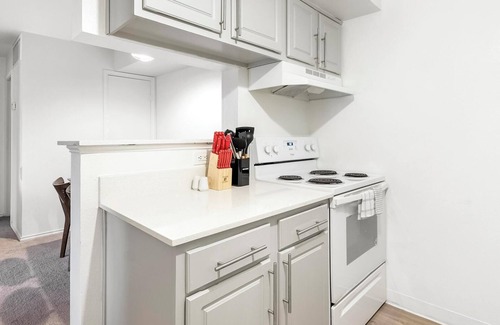 Windsor Park Apartment | Landing at Mueller Flats - 1 Bedroom in Windsor.