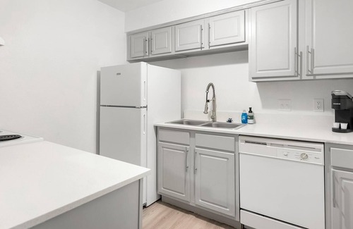 Windsor Park Apartment | Landing at Mueller Flats - 1 Bedroom in Windsor.
